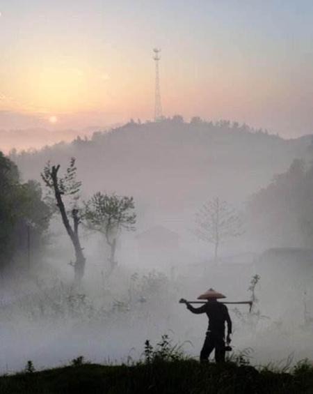 诗歌是怎么产生的(诗歌是怎样的)