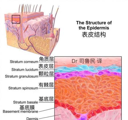 去除脸上死皮