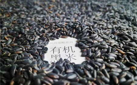 黑米饭营养(黑米饭的营养价值)