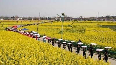春天旅游看花