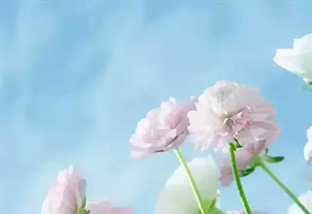 浙江进厂工资一般多少钱一个月(浙江电子厂工资一般多少钱一个月)