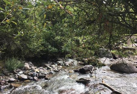 暗恋自己的老师他会知道吗(手术室里的护士)