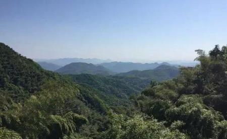 你是不是农民