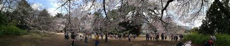日本旅游必去(日本旅游必去的4个景点)