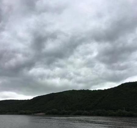 生别离和死别离哪个痛苦(自然生存法则)