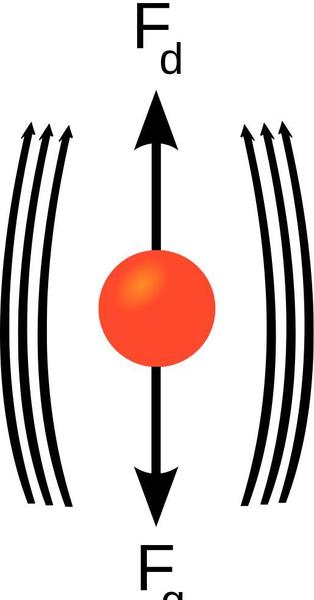 人从一万米高空自由落体速度(2000米高空自由落体)
