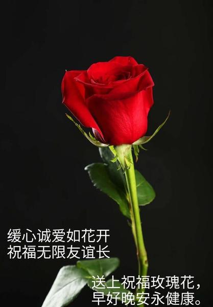 在这个物欲横流人心浮躁的社会,只有(物欲横流人心浮躁的社会)