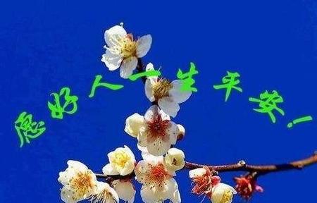 有关于诚信的故事(诚信成语故事20字简短)