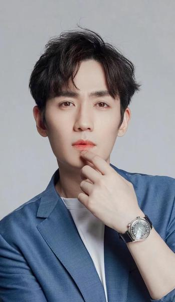 有颜值却不火的男明星(跟樊少皇长得像的男演员)