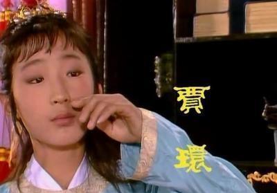 红楼梦中贾环的结局(红楼梦贾环的结局)