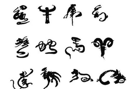 属兔的最合生肖是什么生肖(十二生肖和什么生肖最合)
