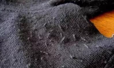 正品阿迪衣服为什么会起球(阿迪达斯t恤真假辨别图)