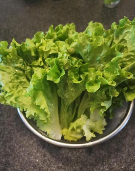 生菜怎么做好吃又简单蚝油生菜(蚝油生菜下厨房)