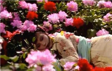 史湘云醉卧芍药裀概括(史湘云醉卧芍药裀赏析)