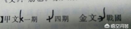 曱甴是什么字怎么读