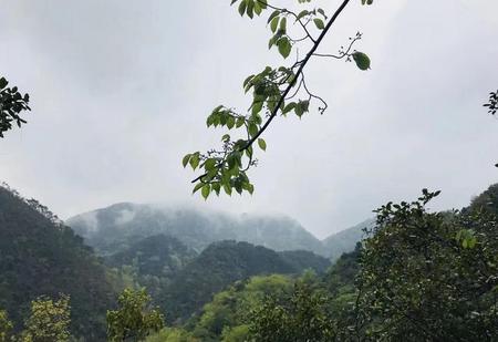 九月适合去什么地方旅游