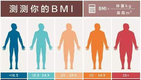 体脂率18.8(体脂27高吗)