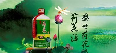 什么是荷花酒(荷花为什么卖这么贵)