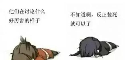 肖战王一博