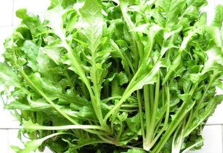 荠菜没焯水吃了没事吧(荠菜怎么冷冻)